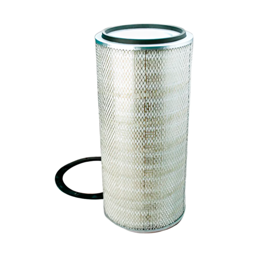 Filtro De Aire Primario P181007 R600 57md26 2md2147