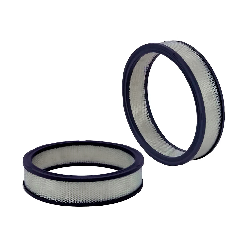 Filtro De Aire Primario P607238 Md062 79009174 Ts17 Af736